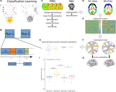Short-Term Classification Learning Promotes Rapid Global Improvements of Information Processing in Human Brain Functional Connectome